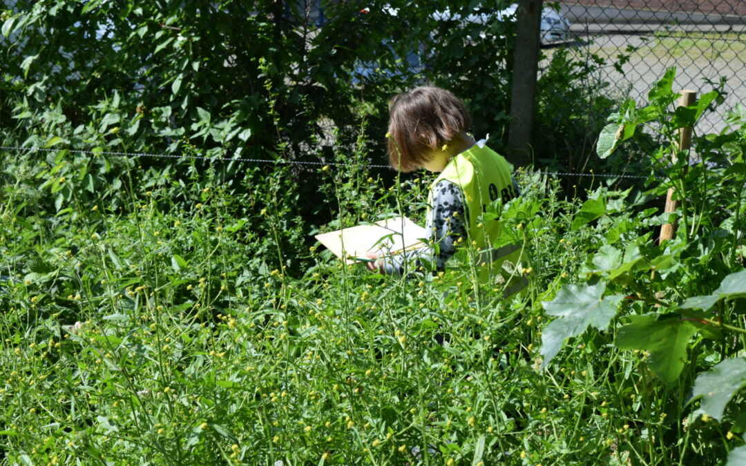 Le jardin de la meunerie